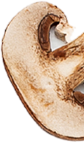 Slice