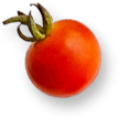 Slice